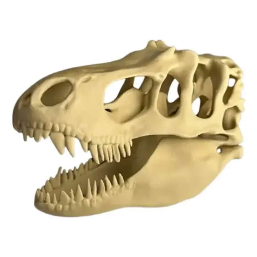 Escultura Decorativa- Cabeza De T-rex