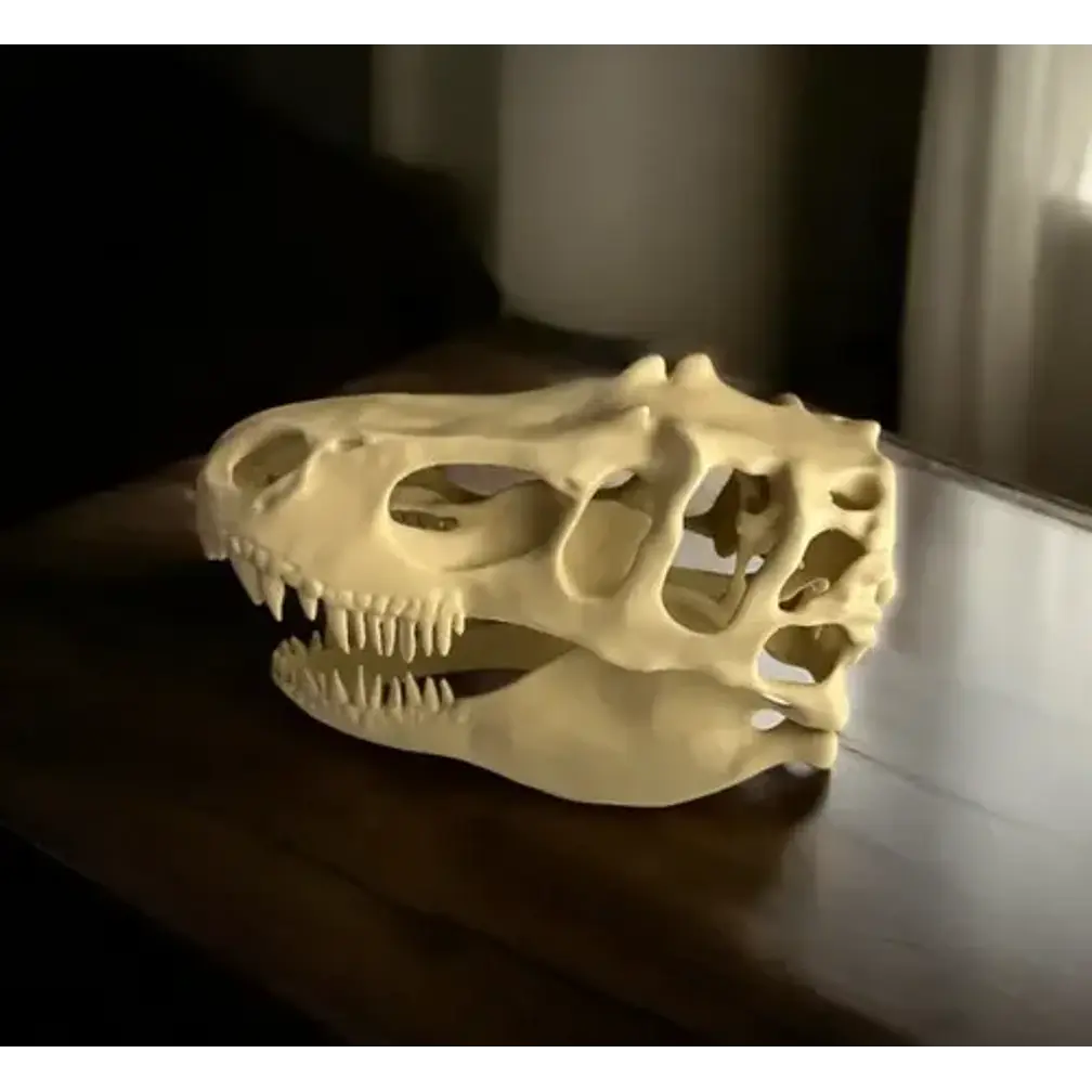 Escultura Decorativa- Cabeza De T-rex 2