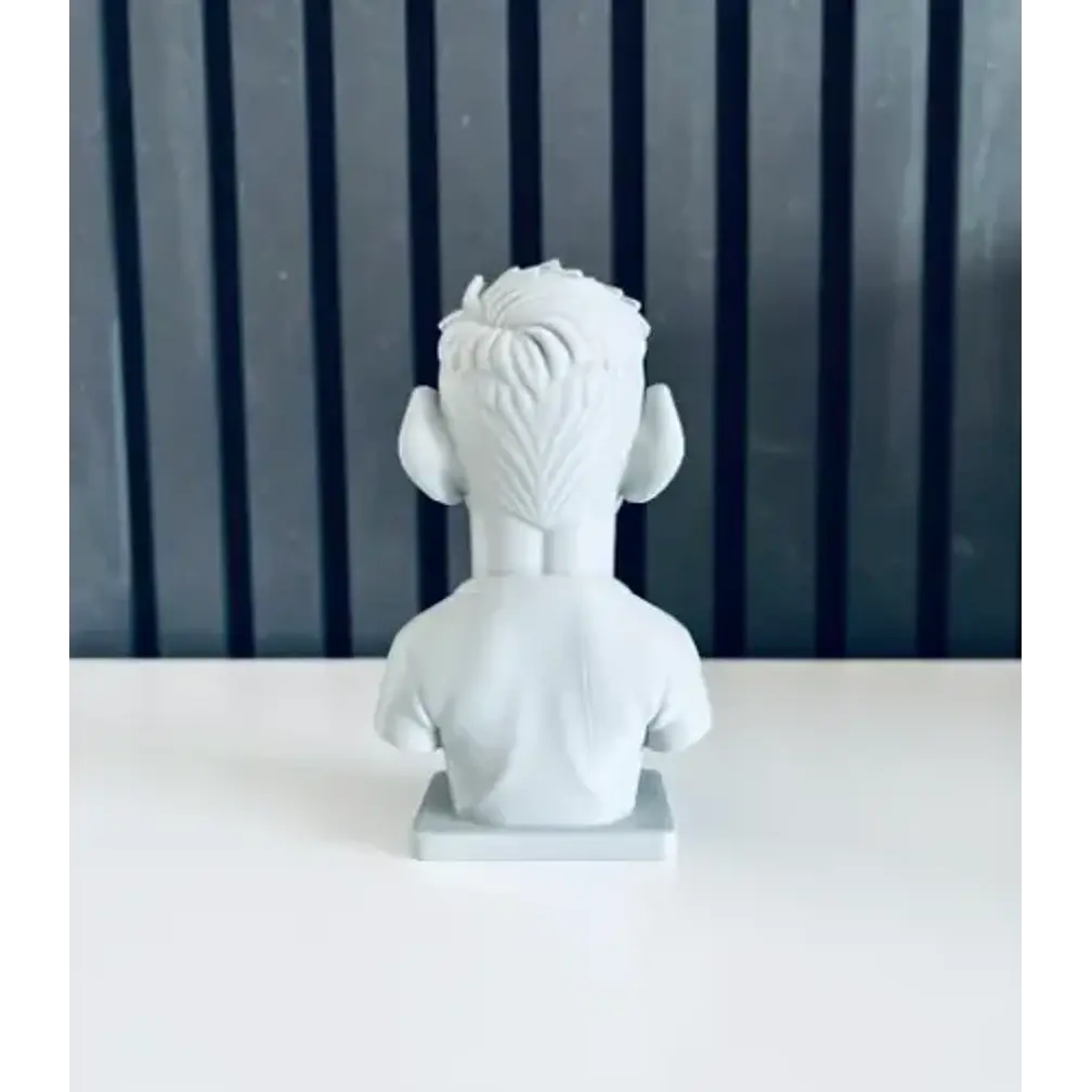 Escultura Decorativa Prints Patro- Busto De Lionel Messi 4