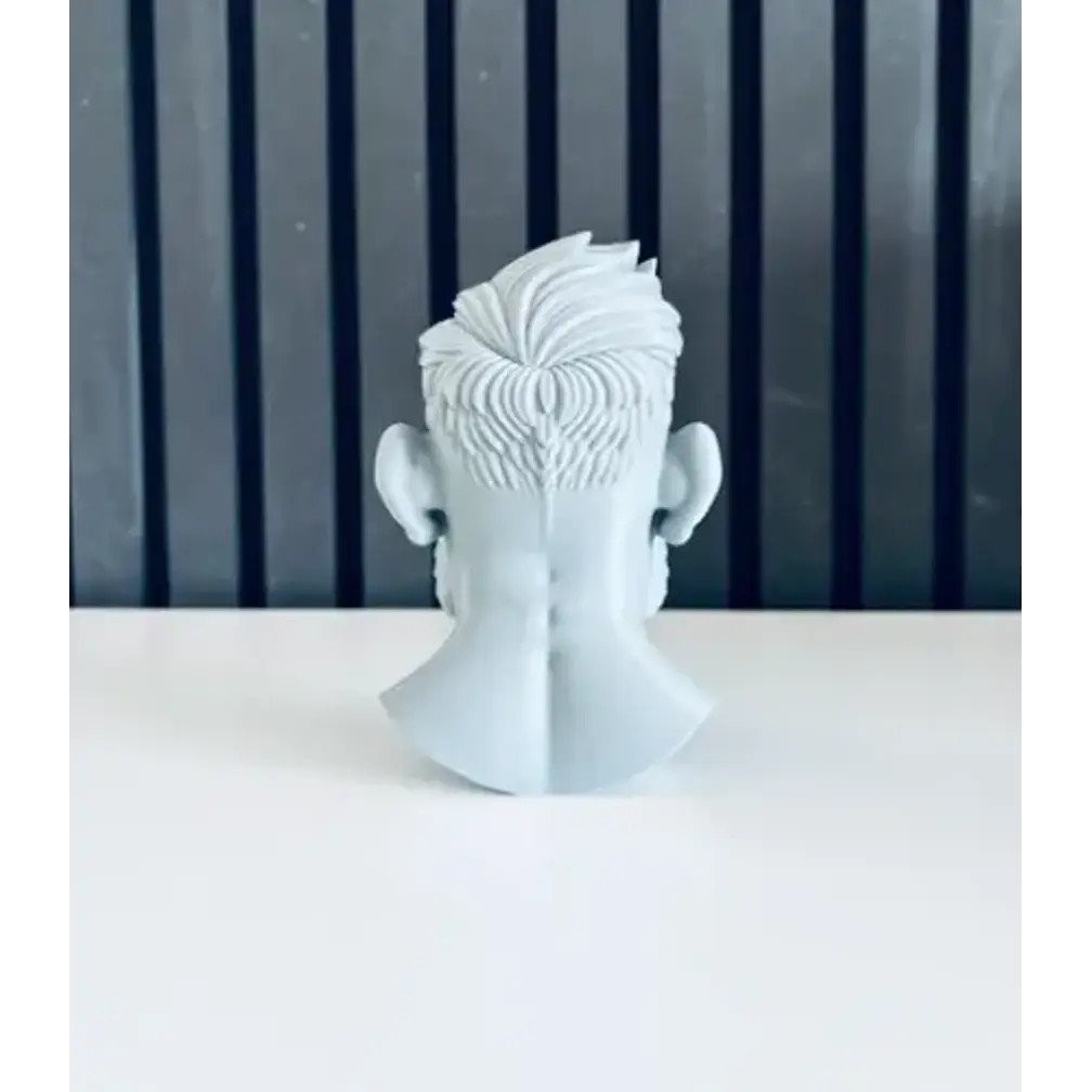 Escultura Decorativa Prints Patro- Busto Conor Mcgregor 3