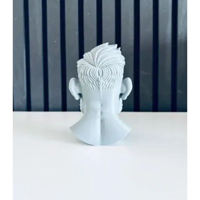 Escultura Decorativa Prints Patro- Busto Conor Mcgregor 3