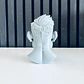 Escultura Decorativa Prints Patro- Busto Conor Mcgregor - Miniatura 3