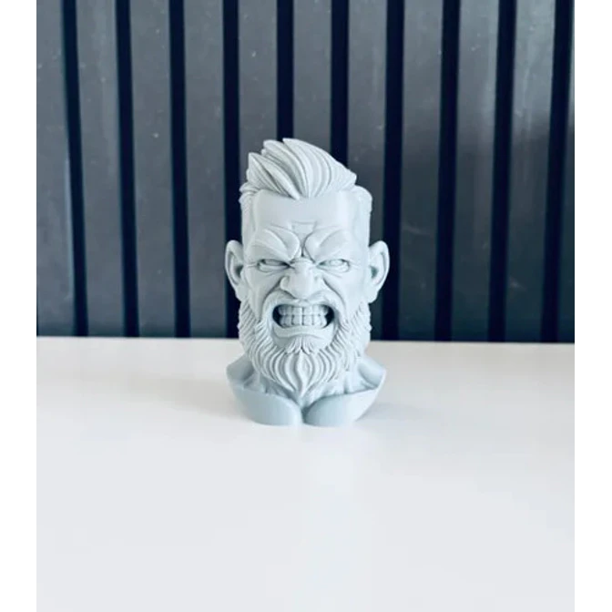 Escultura Decorativa Prints Patro- Busto Conor Mcgregor 4