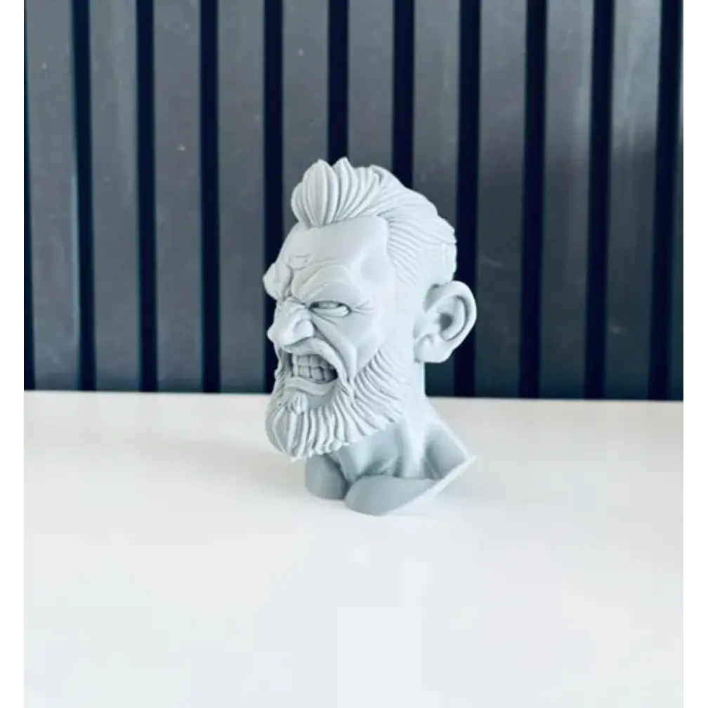 Escultura Decorativa Prints Patro- Busto Conor Mcgregor 5