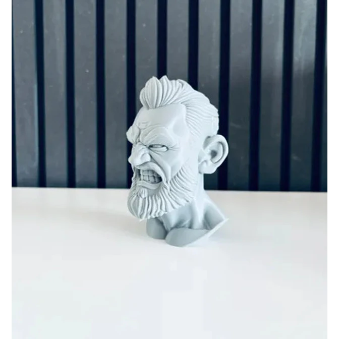 Escultura Decorativa Prints Patro- Busto Conor Mcgregor 5