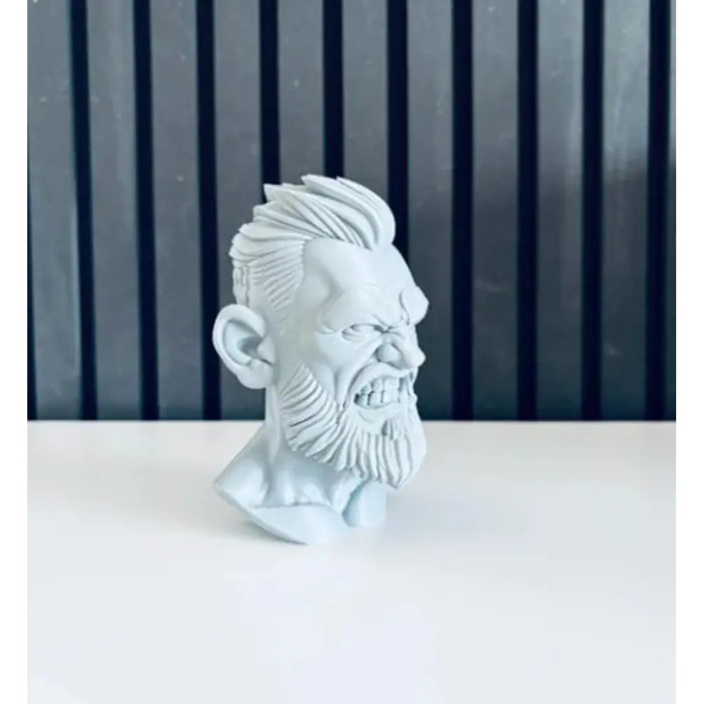 Escultura Decorativa Prints Patro- Busto Conor Mcgregor 6
