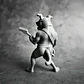 Figura Decorativa Prints Patro- Bulldog Bajista - Miniatura 4
