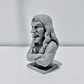 Escultura Decorativa Prints Patro- Busto Steve Harris V2 - Miniatura 3