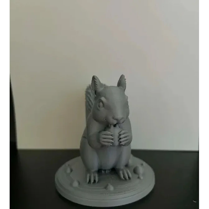 Escultura Decorativa Prints Patro- Ardilla Realista 3