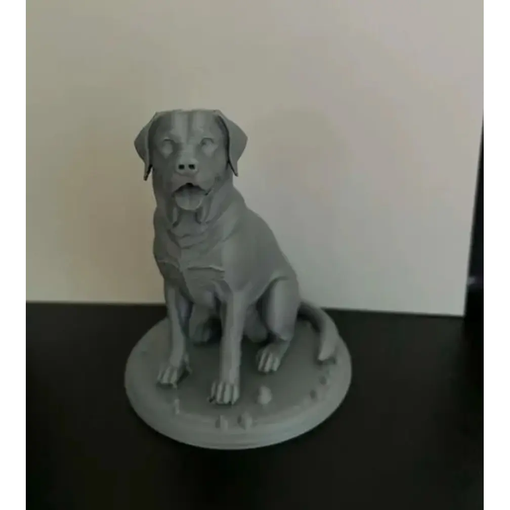 Escultura Decorativa Prints Patro- Labrador Realista 4