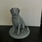 Escultura Decorativa Prints Patro- Labrador Realista - Miniatura 4