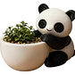 Macetero Prints Patro- Panda Abrazador - Miniatura 1