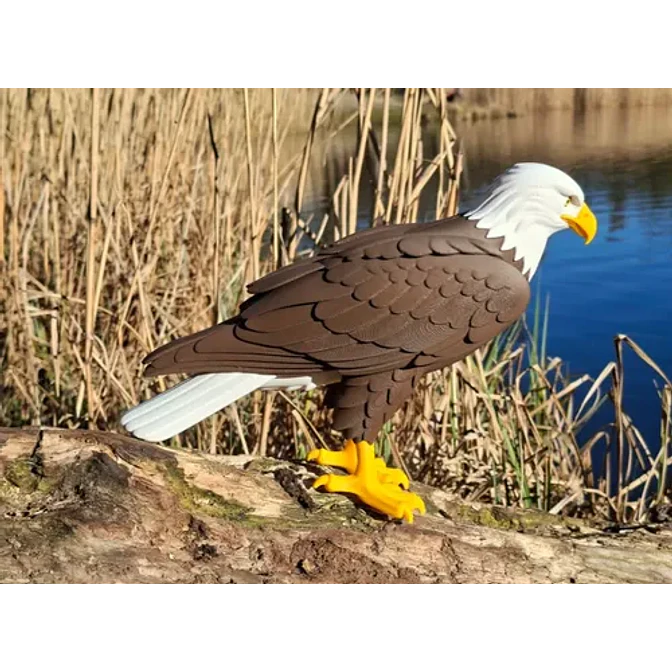 Figura Decorativa Prints Patro- Águila Calva 2
