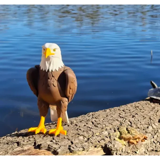 Figura Decorativa Prints Patro- Águila Calva 3