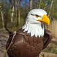 Figura Decorativa Prints Patro- Águila Calva - Miniatura 4