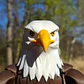 Figura Decorativa Prints Patro- Águila Calva - Miniatura 5