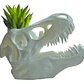 Macetero Prints Patro- T-rex Esqueleto - Miniatura 1