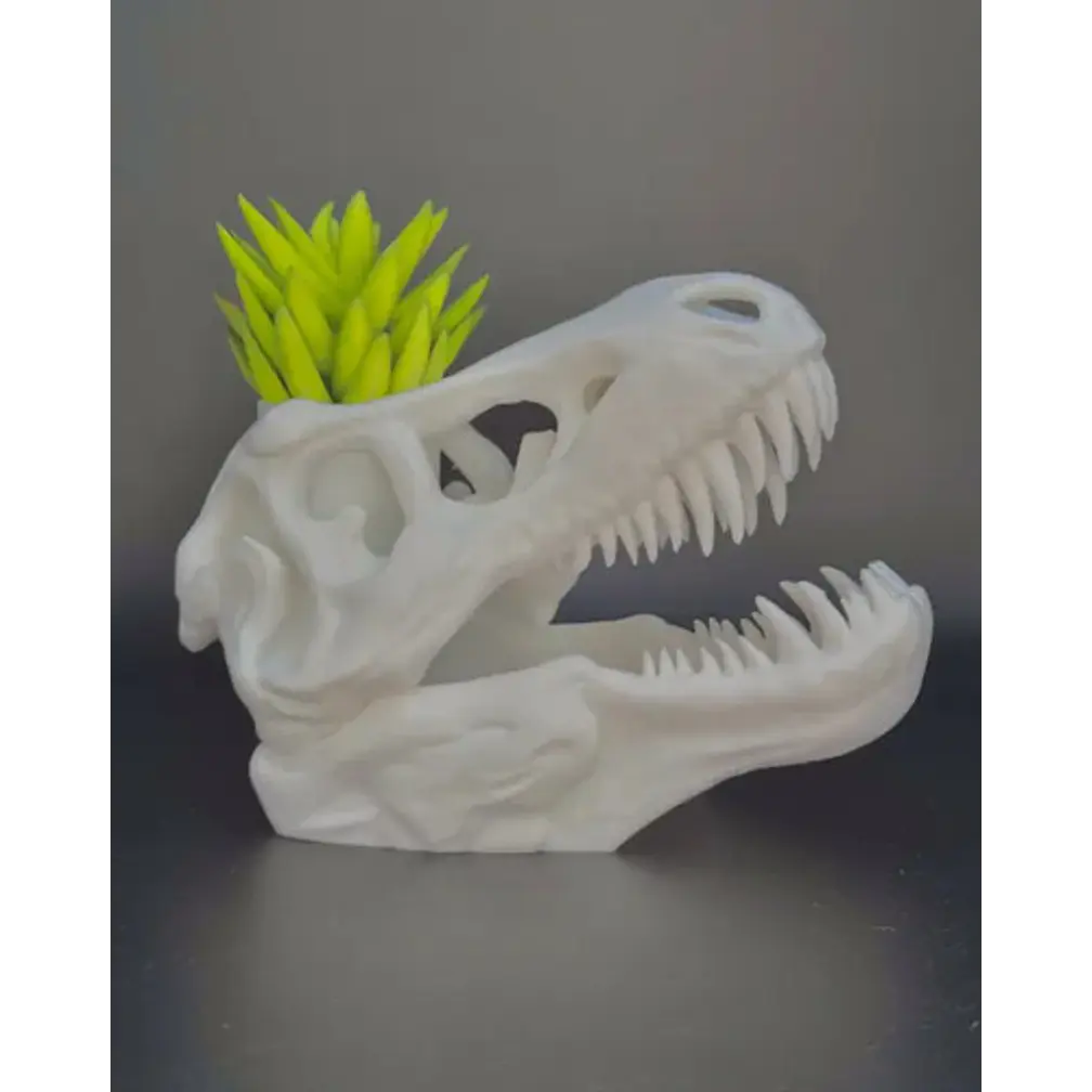 Macetero Prints Patro- T-rex Esqueleto 3