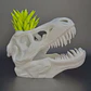 Macetero Prints Patro- T-rex Esqueleto - Miniatura 3
