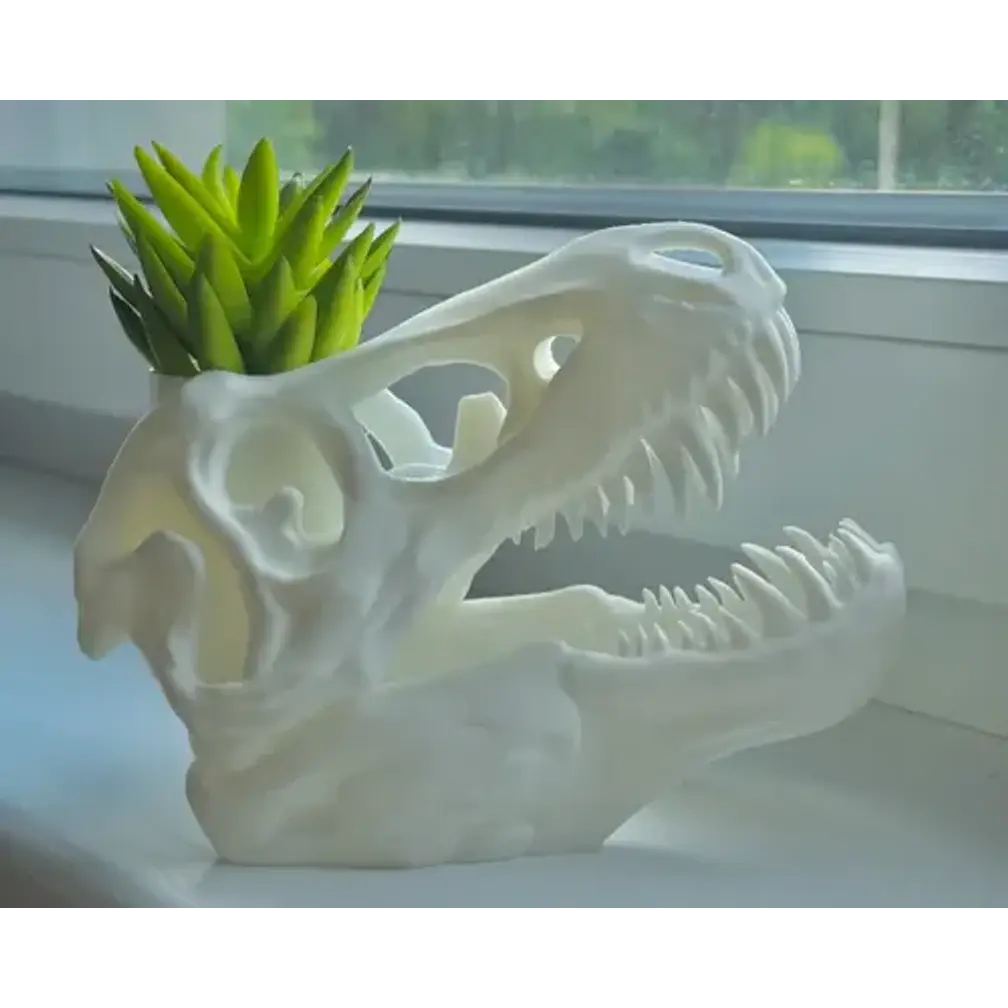 Macetero Prints Patro- T-rex Esqueleto 4
