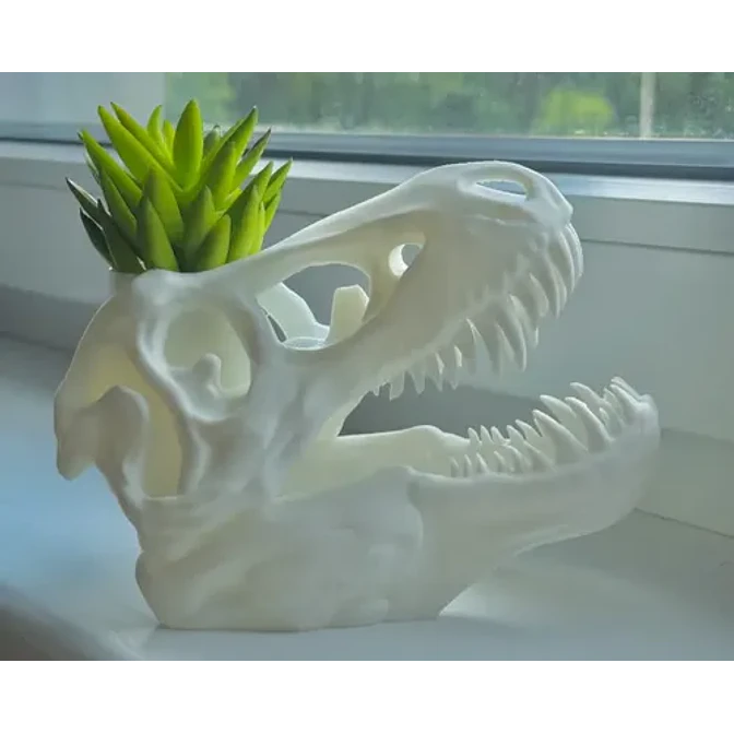 Macetero Prints Patro- T-rex Esqueleto 4