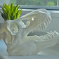 Macetero Prints Patro- T-rex Esqueleto - Miniatura 4