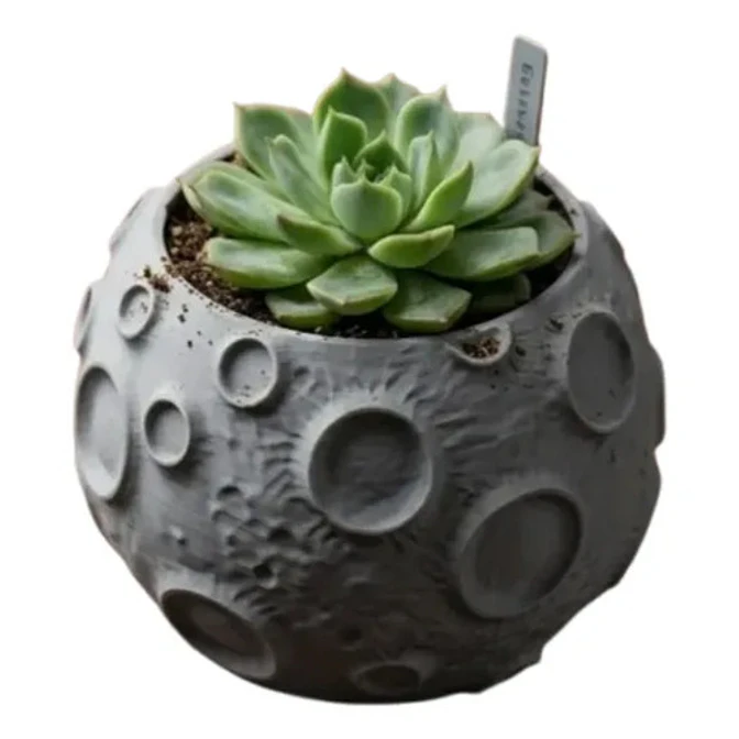 Macetero Prints Patro- Superficie Lunar 1