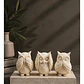 Escultura Decorativa Prints Patro- 3 Búhos Sabios - Miniatura 2