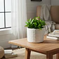 Decoración Prints Patro - Macetero Estilo Cuerda Trenzada - Miniatura 4
