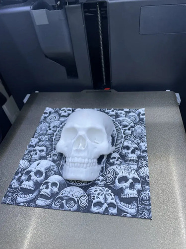 Cuadro Decorativo - Estilo Calavera 3d - Foto 3