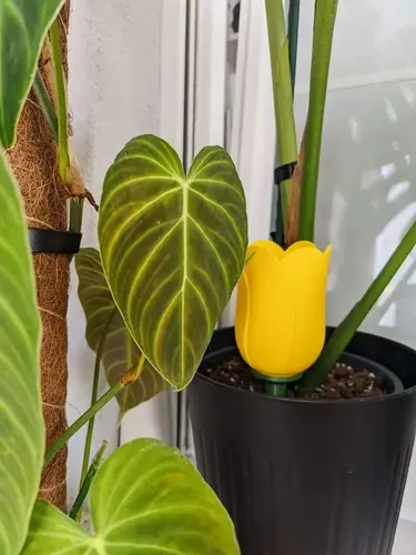 Globo De Riego Para Plantas - Diseño Tulipán - Foto 2