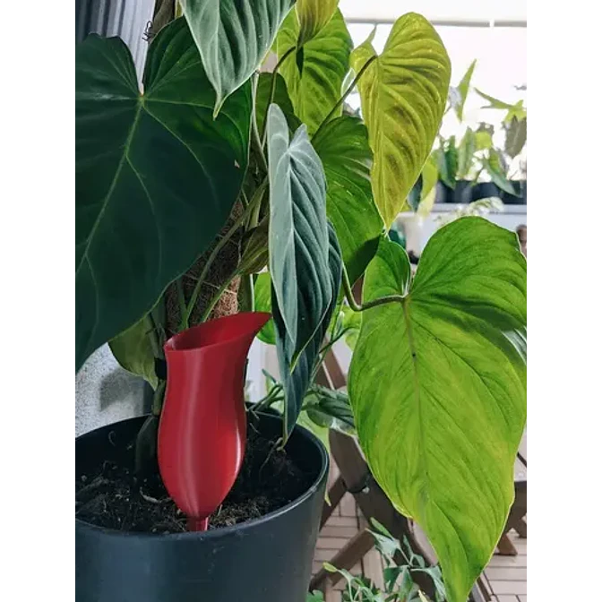 Globo De Riego Para Plantas - Diseño Jarra 3