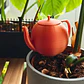 Globo De Riego Para Plantas - Diseño Tetera - Miniatura 3