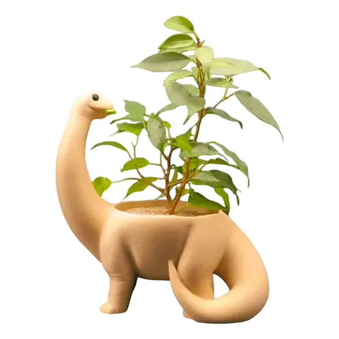 Macetero - Diseño Dinosaurio 1
