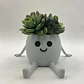 Mini Macetero - Macetero Feliz - Miniatura 2