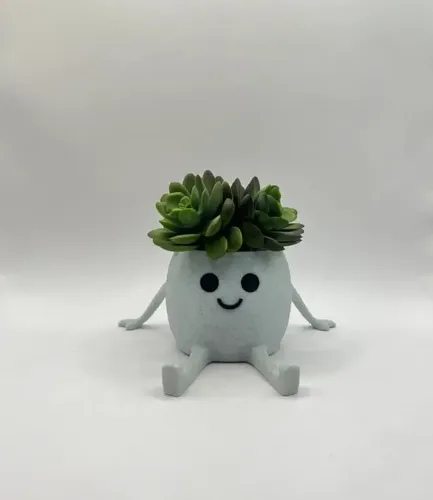 Mini Macetero - Macetero Feliz - Foto 5