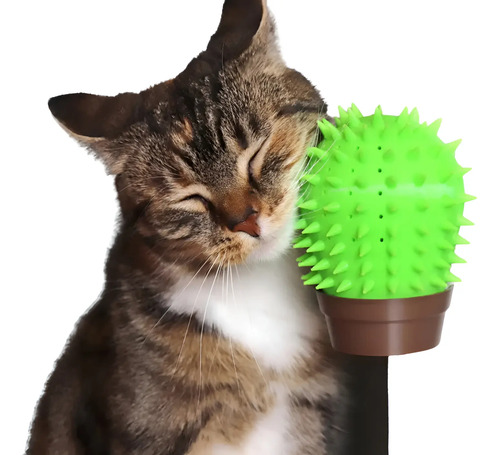 Rascador Para Gatos - Figura De Cactus