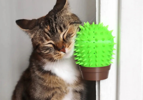 Rascador Para Gatos - Figura De Cactus - Foto 4