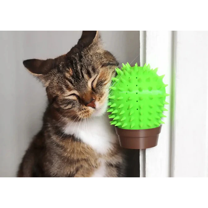 Rascador Para Gatos - Figura De Cactus 4