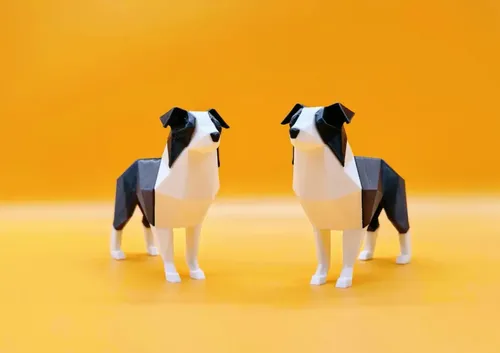 Figura Border Collie - Foto 3
