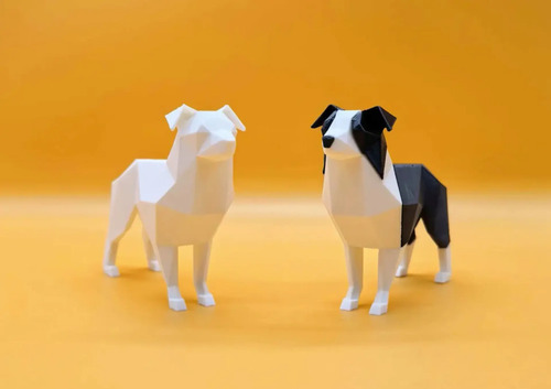 Figura Border Collie - Foto 4