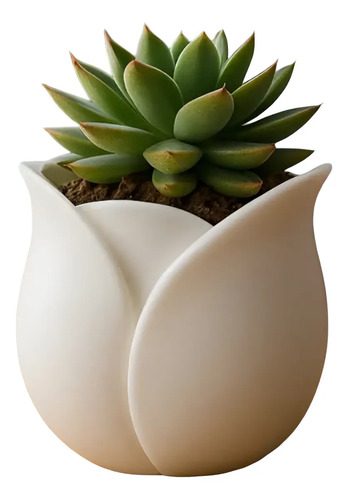 Macetero - Diseño Tulipán