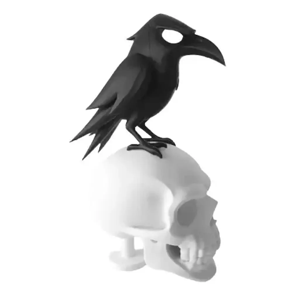 Decoración Minimalista - Cuervo Y Calavera 1