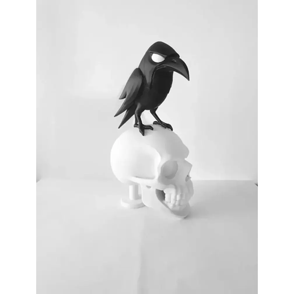Decoración Minimalista - Cuervo Y Calavera 2