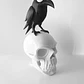 Decoración Minimalista - Cuervo Y Calavera - Miniatura 3