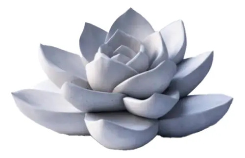 Decoración - Planta Suculenta 3d