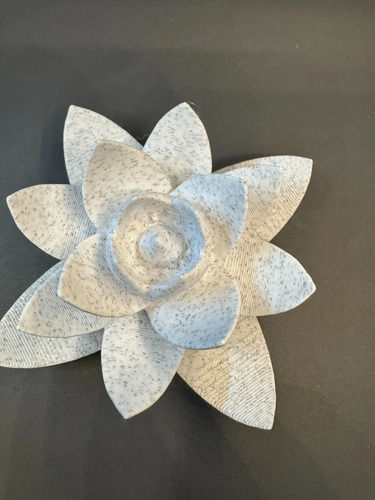 Decoración - Planta Suculenta 3d - Foto 2