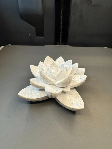 Decoración - Planta Suculenta 3d - Foto 3