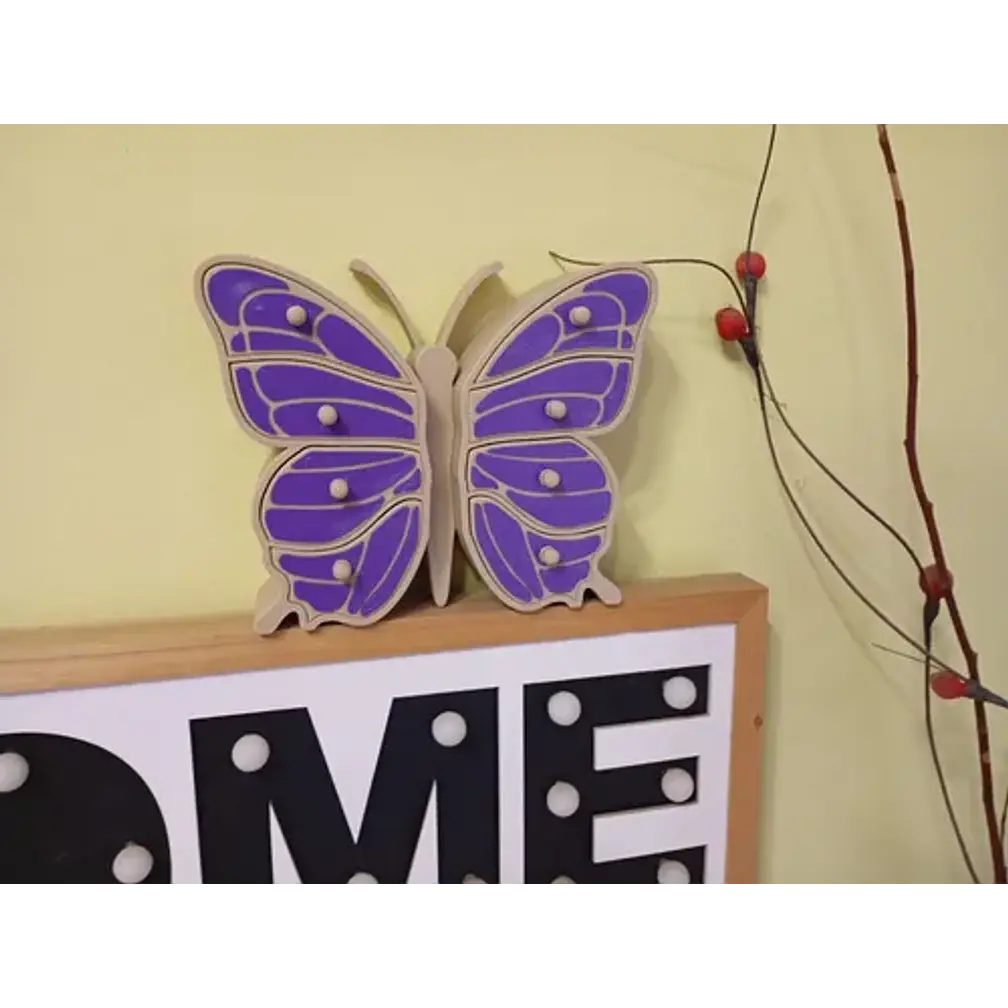 Joyero Con Cajón De Mariposa 3