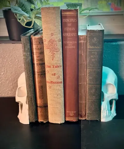 Sujeta Libros - Calavera - Foto 3